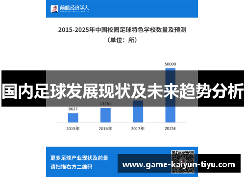国内足球发展现状及未来趋势分析